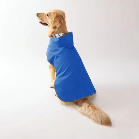 FetchShield Waterproof Raincoat