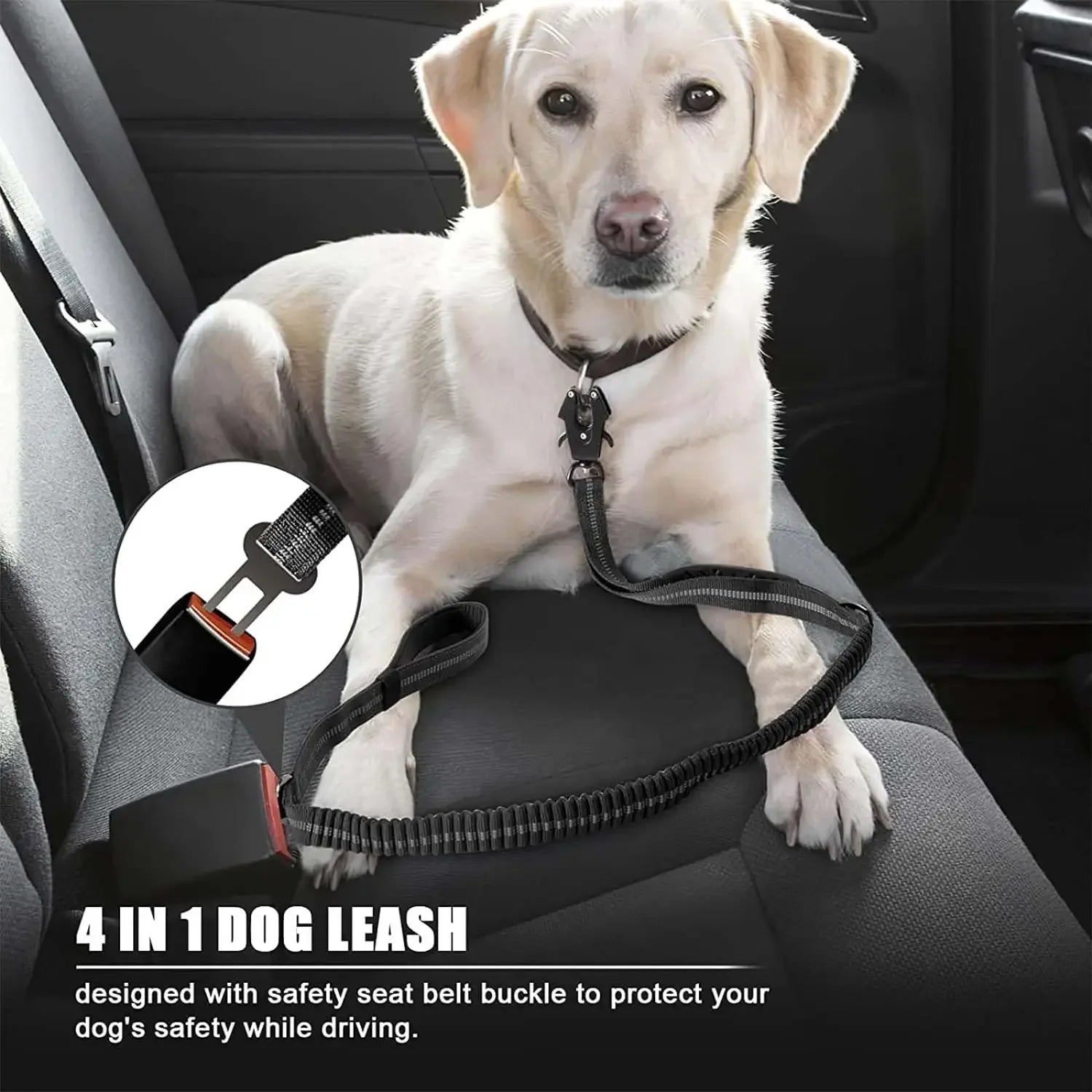Tactic Stretch Dog Leash