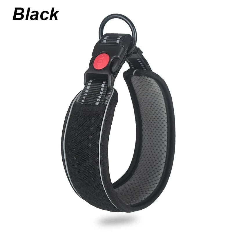 Reflective Dog Collar - Furry Tail Finds