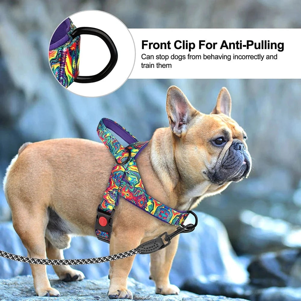 Step in Harness - Furry Tail Finds