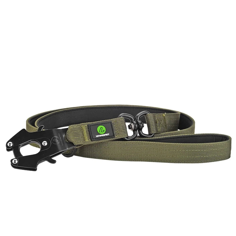 Swivel Combat Lead - Furry Tail Finds