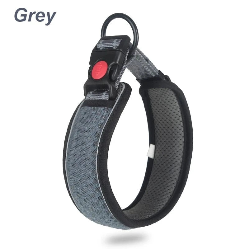 Reflective Dog Collar - Furry Tail Finds