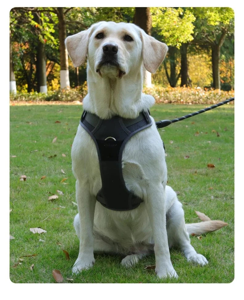 No Pull Reflect Harness - Furry Tail Finds