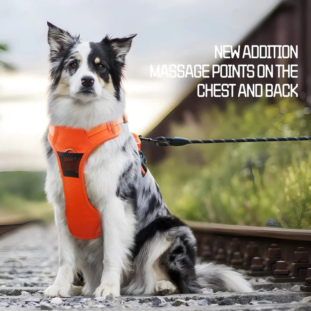 No Pull Reflect Harness - Furry Tail Finds