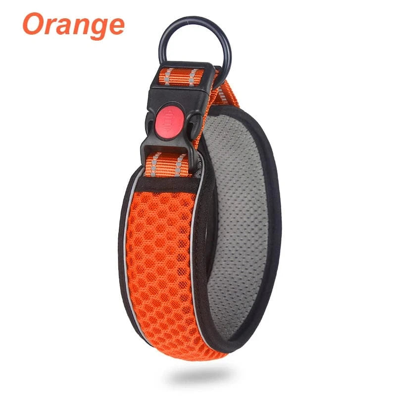Reflective Dog Collar - Furry Tail Finds