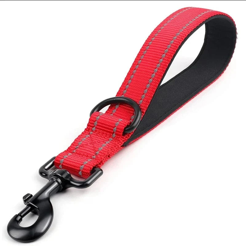 Short Control Lead - Furry Tail Finds