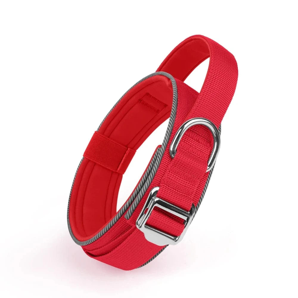 Trail-Ready Collar - Furry Tail Finds