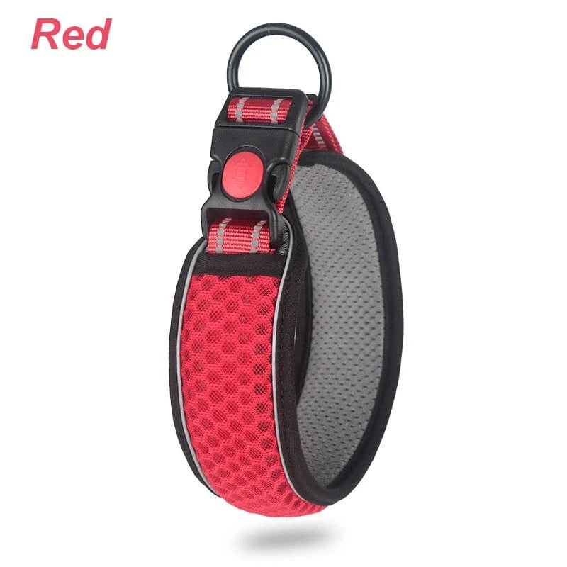 Reflective Dog Collar - Furry Tail Finds