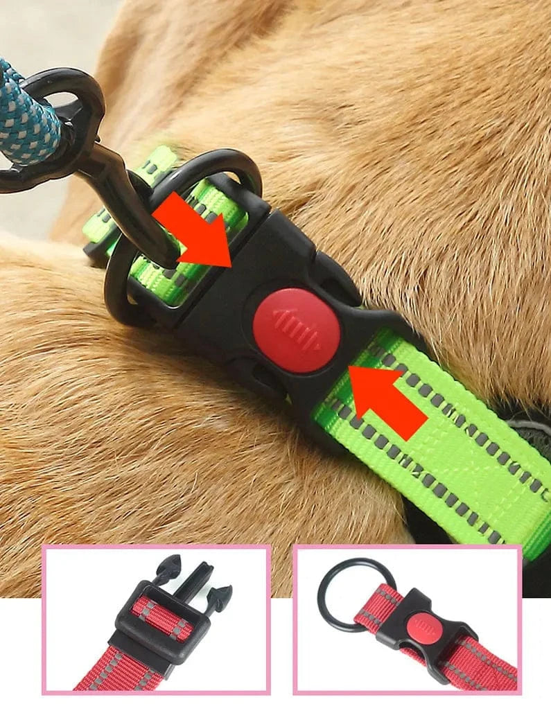 Reflective Dog Collar - Furry Tail Finds