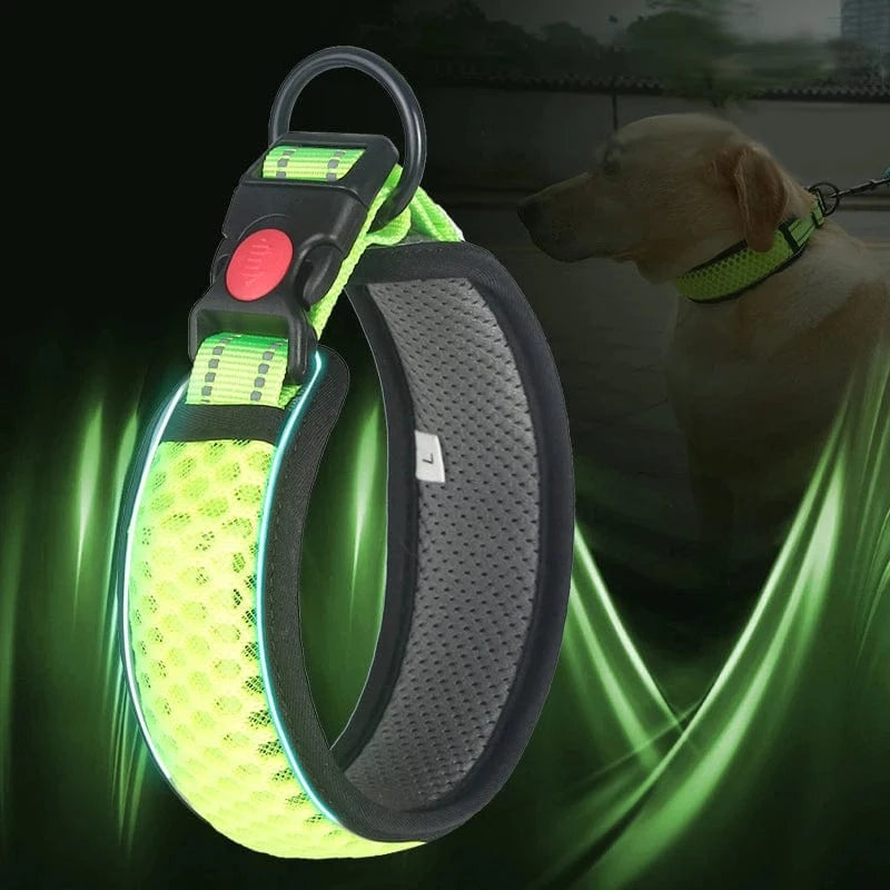 Reflective Dog Collar - Furry Tail Finds