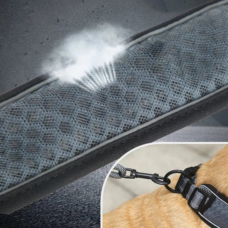 Reflective Dog Collar - Furry Tail Finds