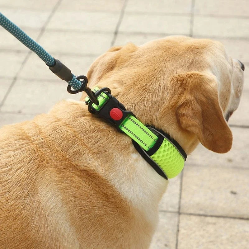 Reflective Dog Collar - Furry Tail Finds