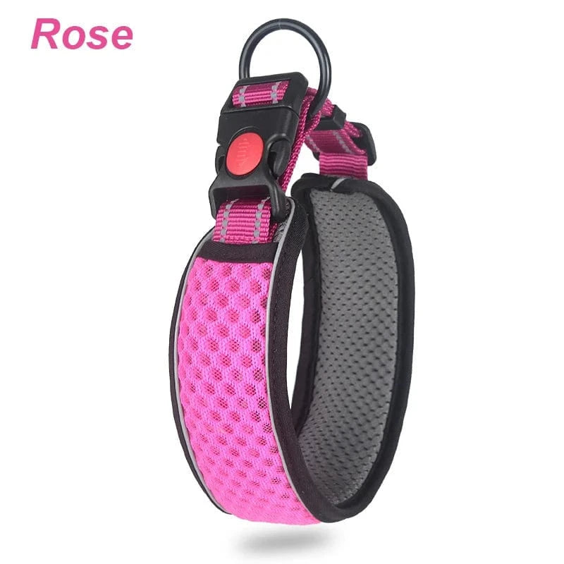 Reflective Dog Collar - Furry Tail Finds