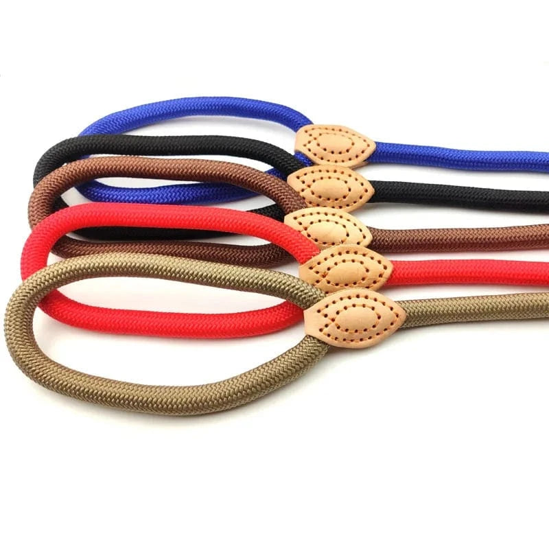 Slip Lead - Furry Tail Finds