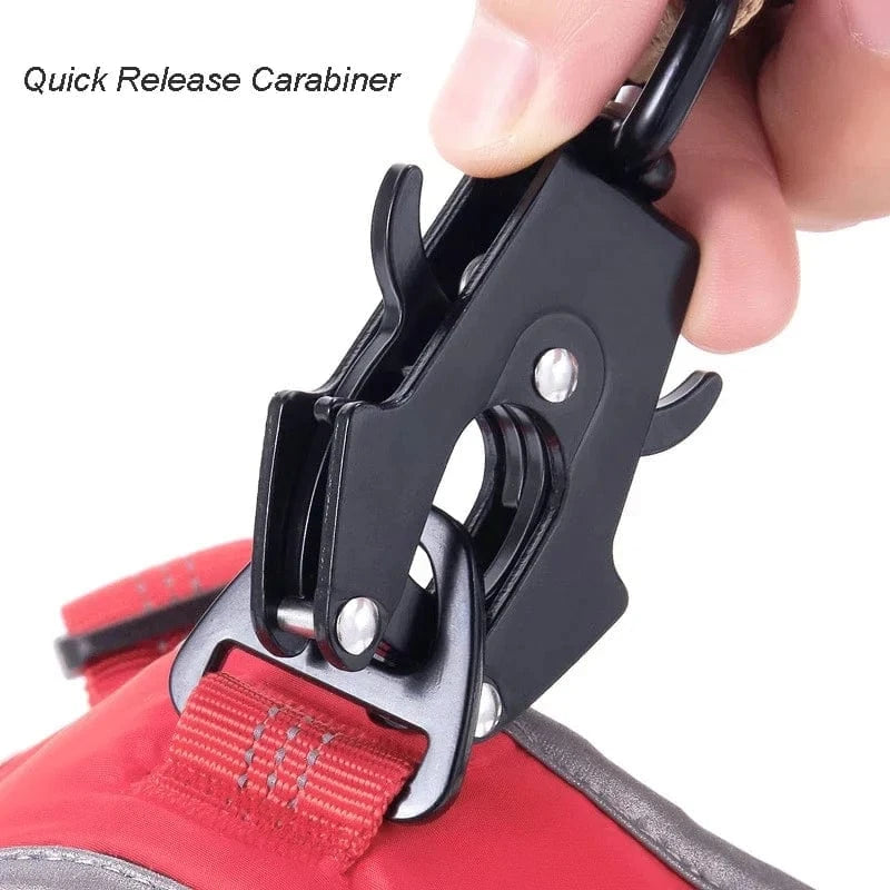 Tactic Stretch Dog Lead - Furry Tail Finds
