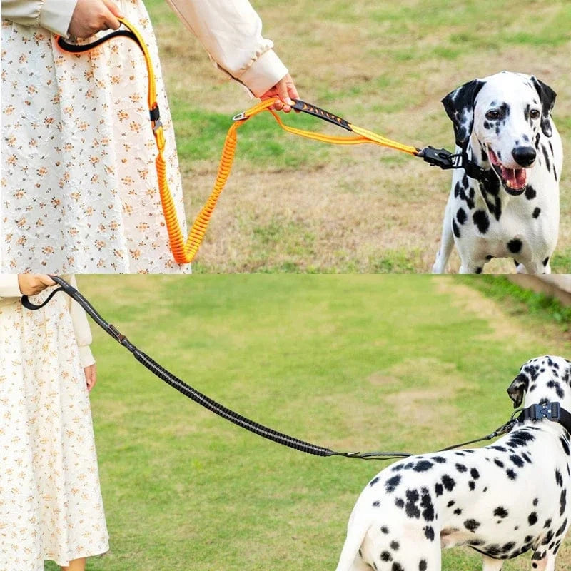 Tactic Stretch Dog Lead - Furry Tail Finds