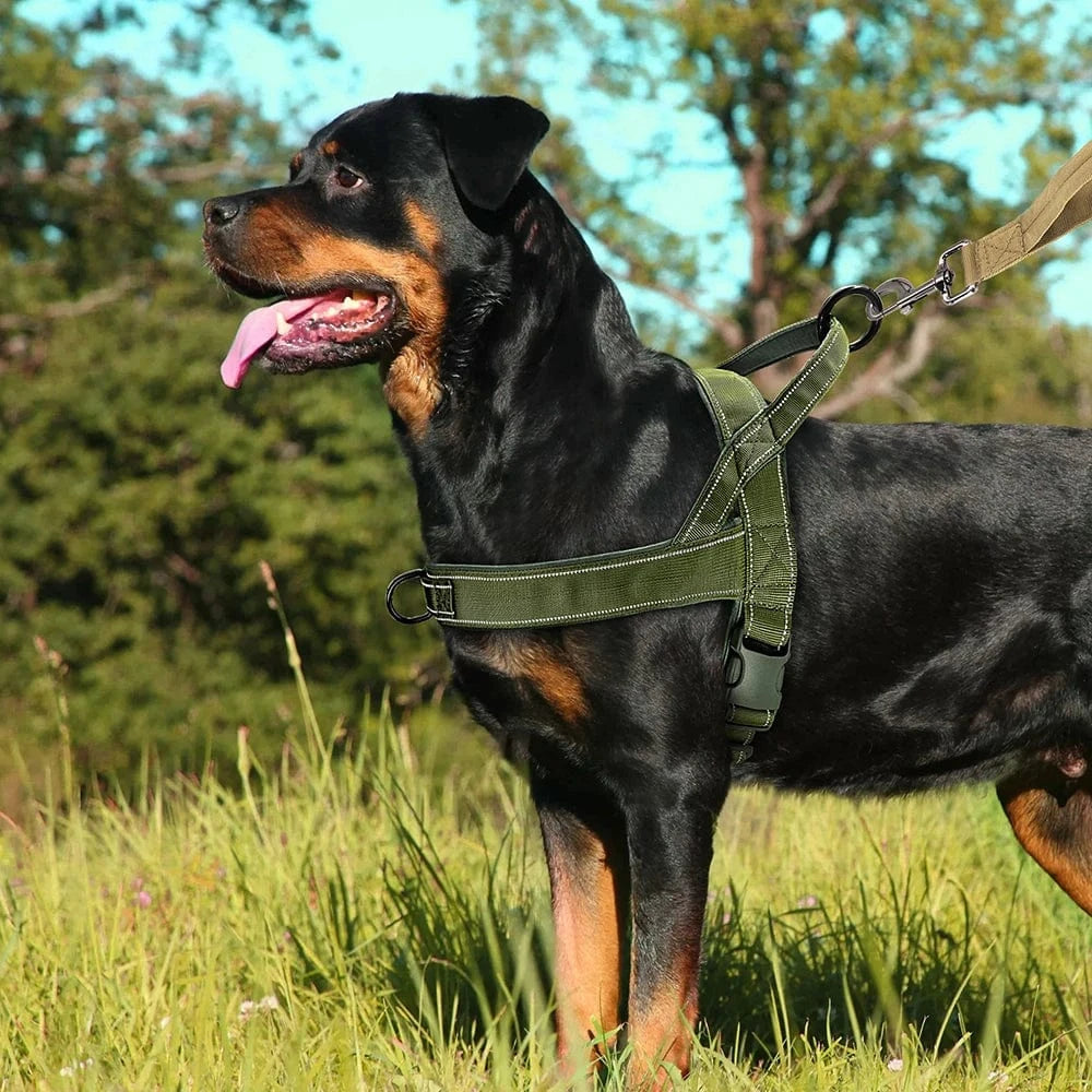 Tactical Harness With Handle - Furry Tail Finds