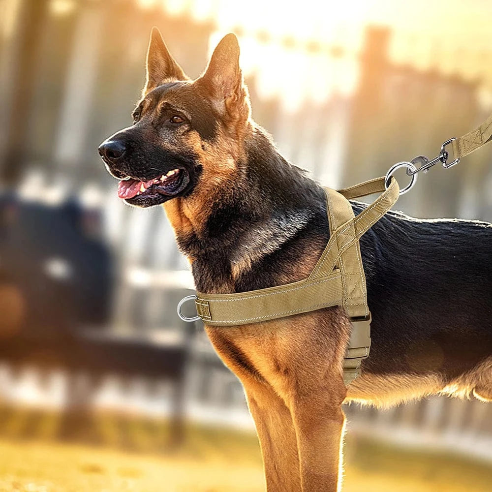 Tactical Harness With Handle - Furry Tail Finds
