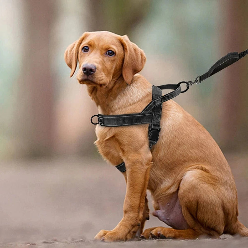 Tactical Harness With Handle - Furry Tail Finds