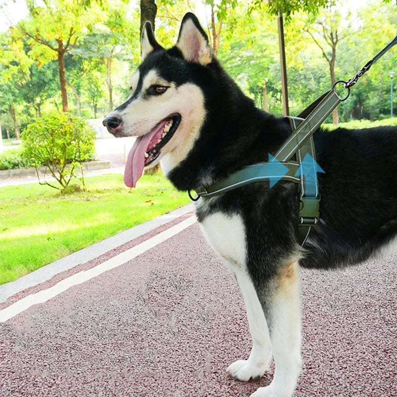 Tactical Harness With Handle - Furry Tail Finds