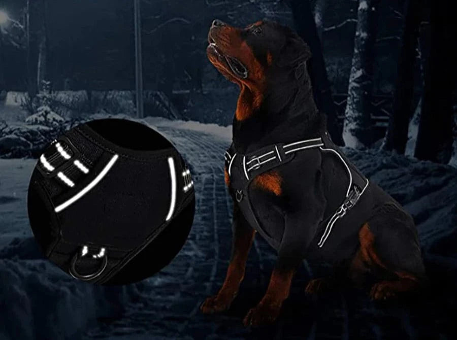 Tactical Harness - Furry Tail Finds