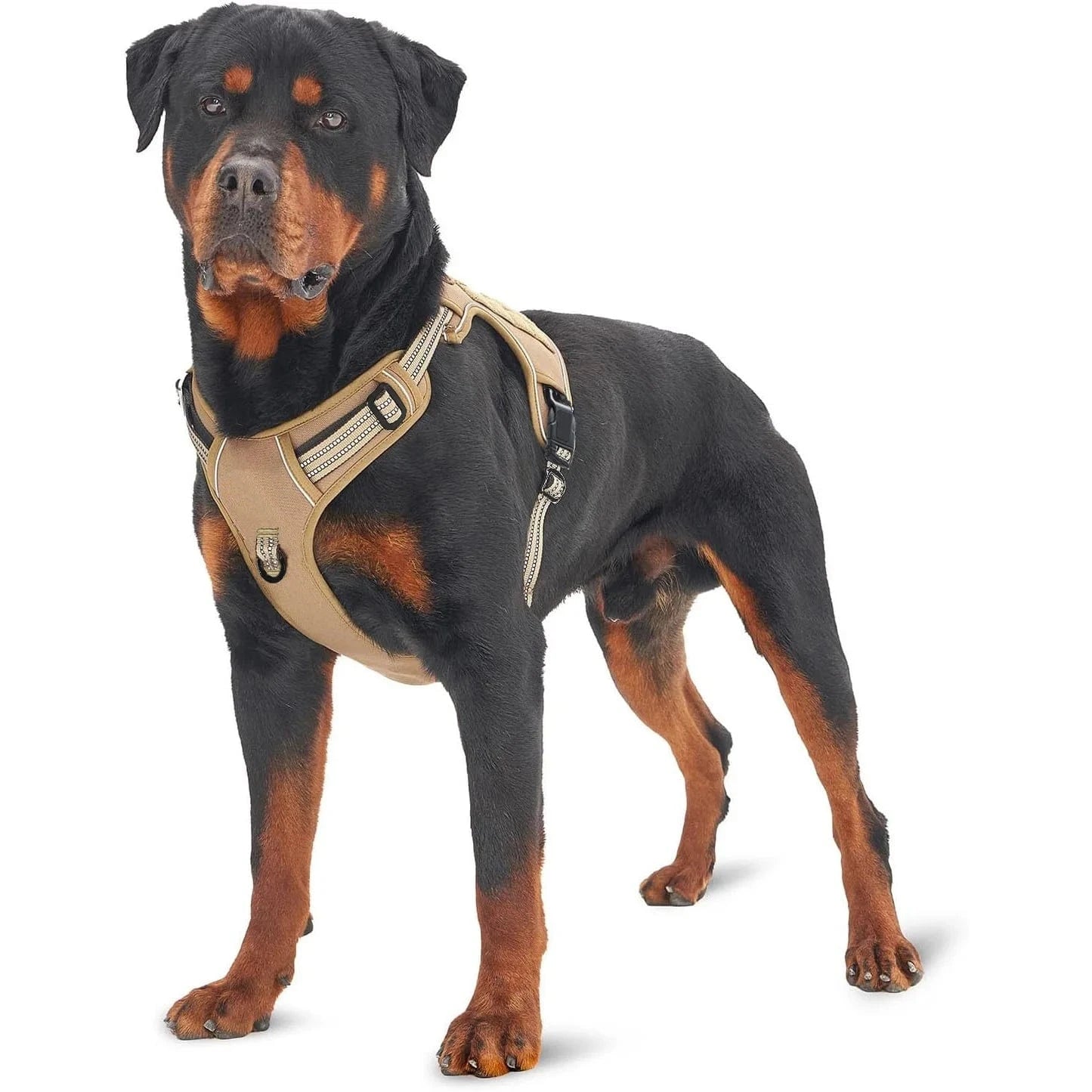 Tactical Harness - Furry Tail Finds