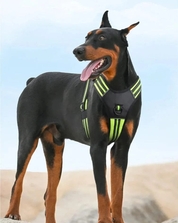 Premium Harness - Furry Tail Finds