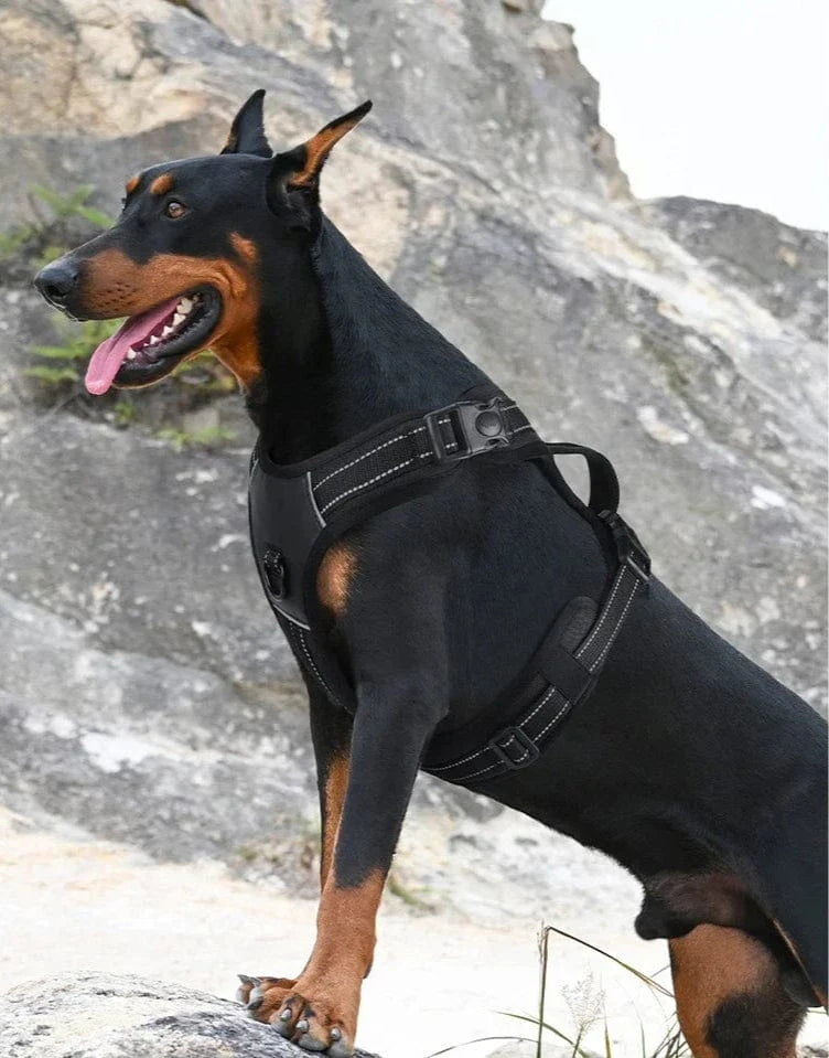 Premium Harness - Furry Tail Finds