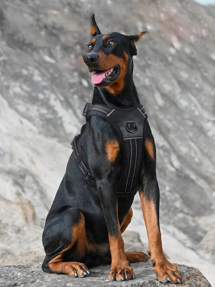 Premium Harness - Furry Tail Finds