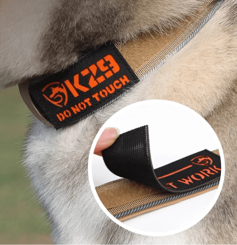 Trail-Ready Collar - Furry Tail Finds