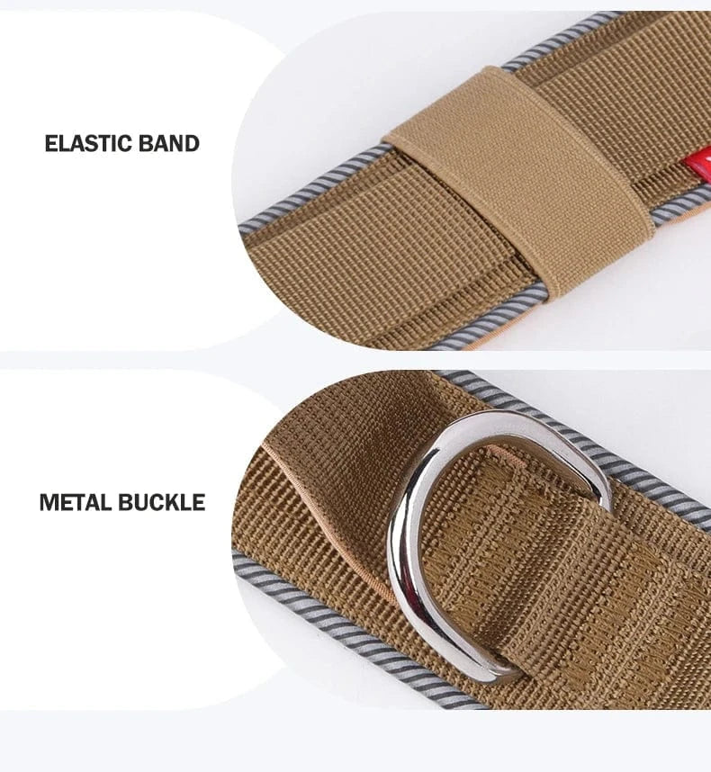 Trail-Ready Collar - Furry Tail Finds
