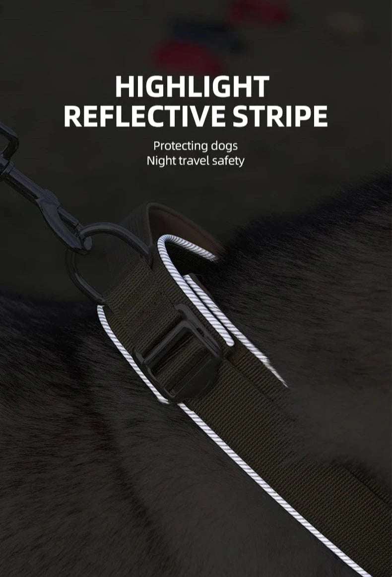 Trail-Ready Collar - Furry Tail Finds