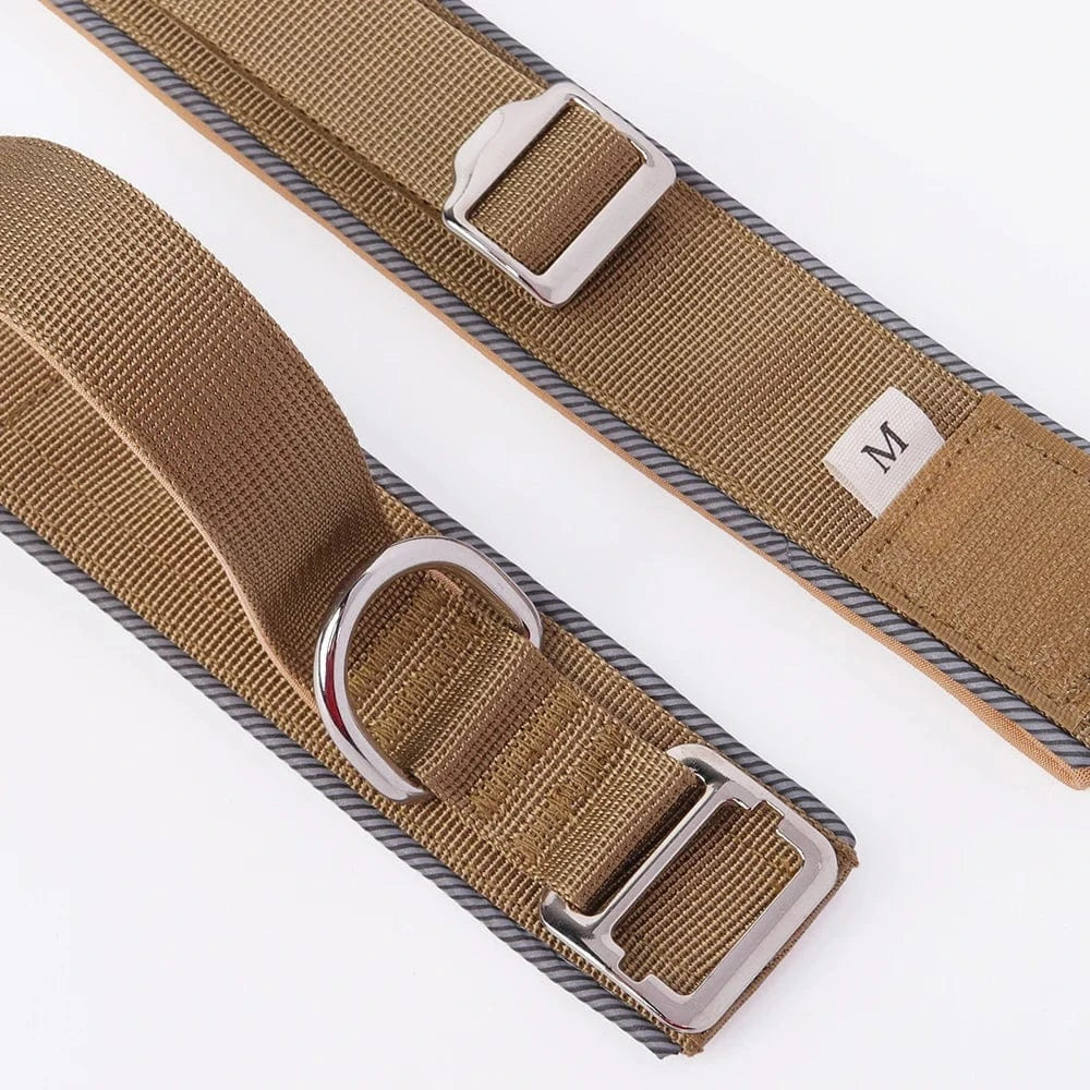 Trail-Ready Collar - Furry Tail Finds