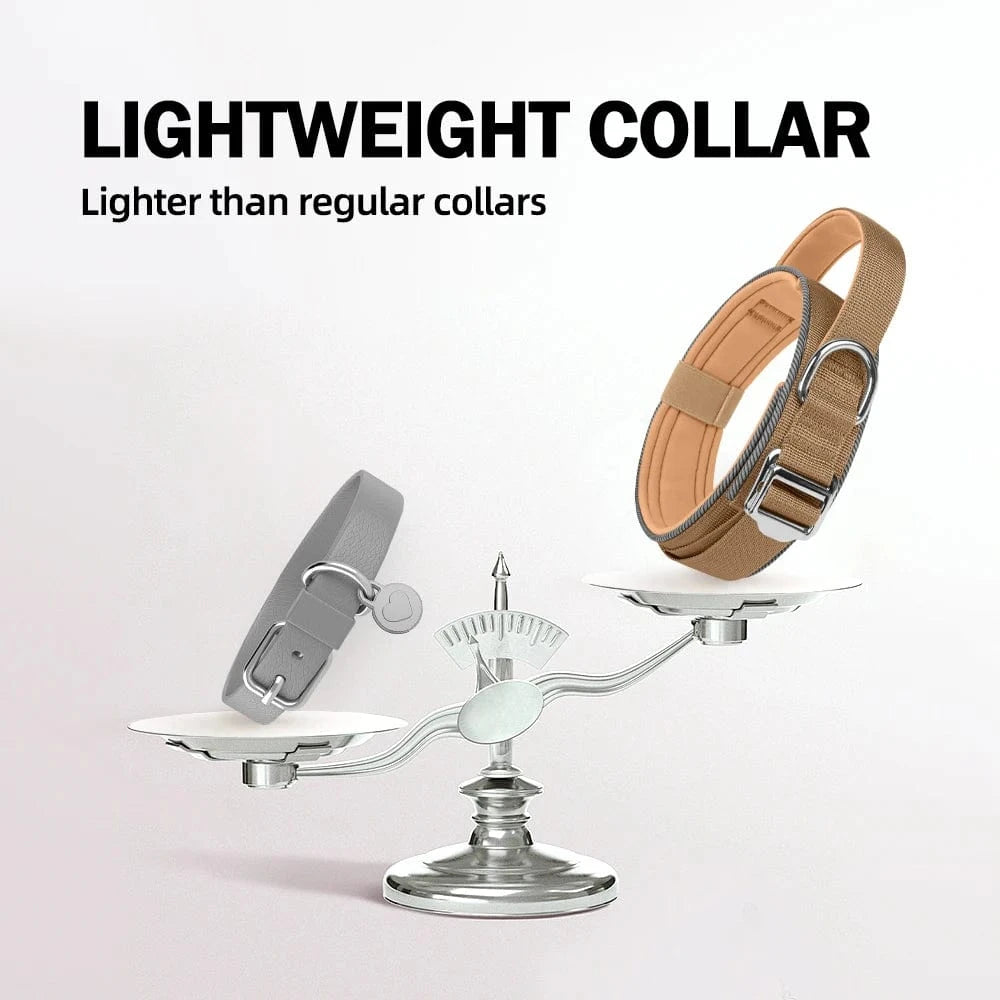 Trail-Ready Collar - Furry Tail Finds