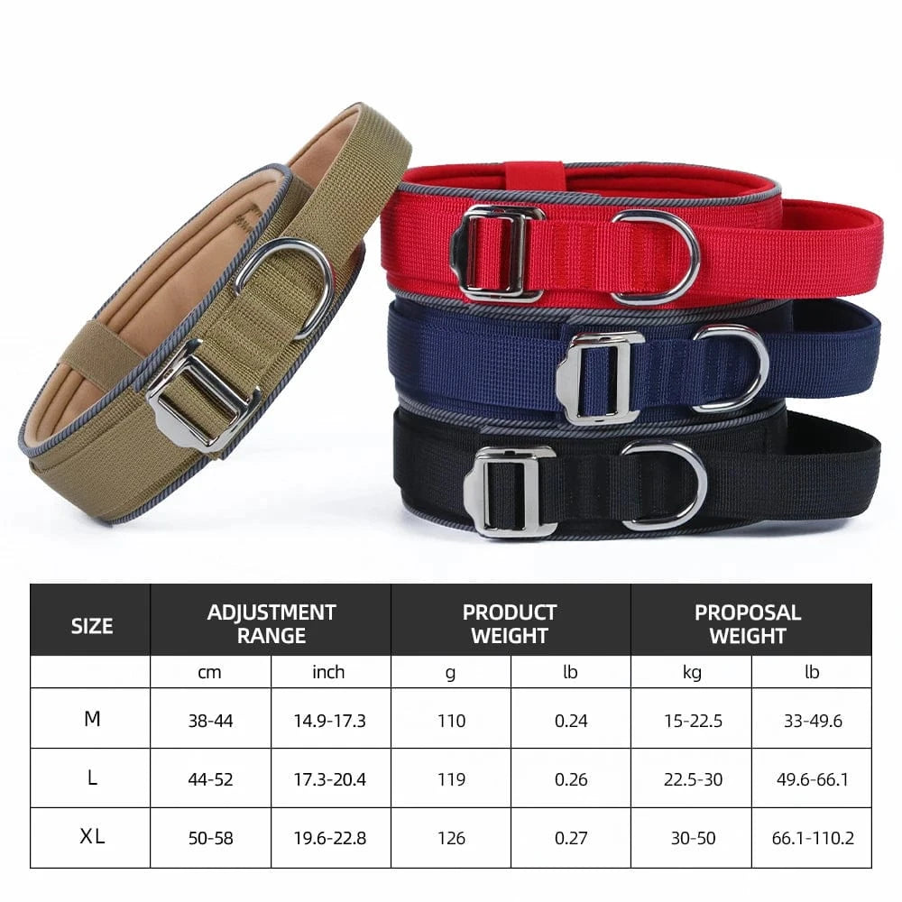 Trail-Ready Collar - Furry Tail Finds