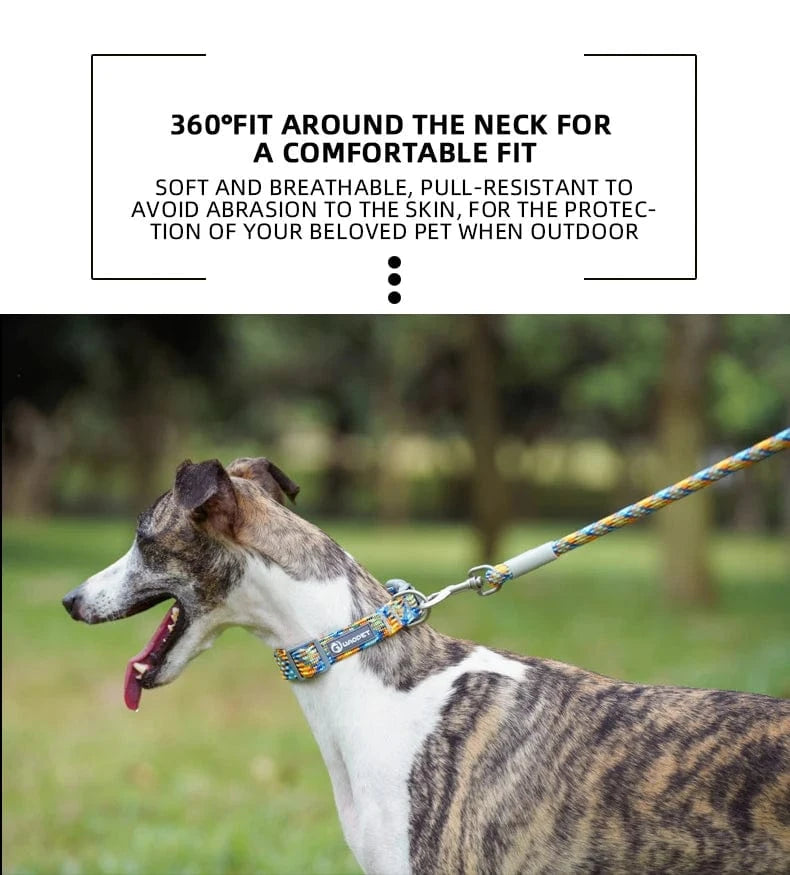 Waopet Reflective Dog Collar - Furry Tail Finds