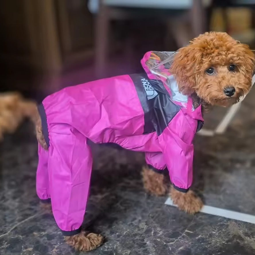 Fashion Dog Raincoat with Transparent Hood