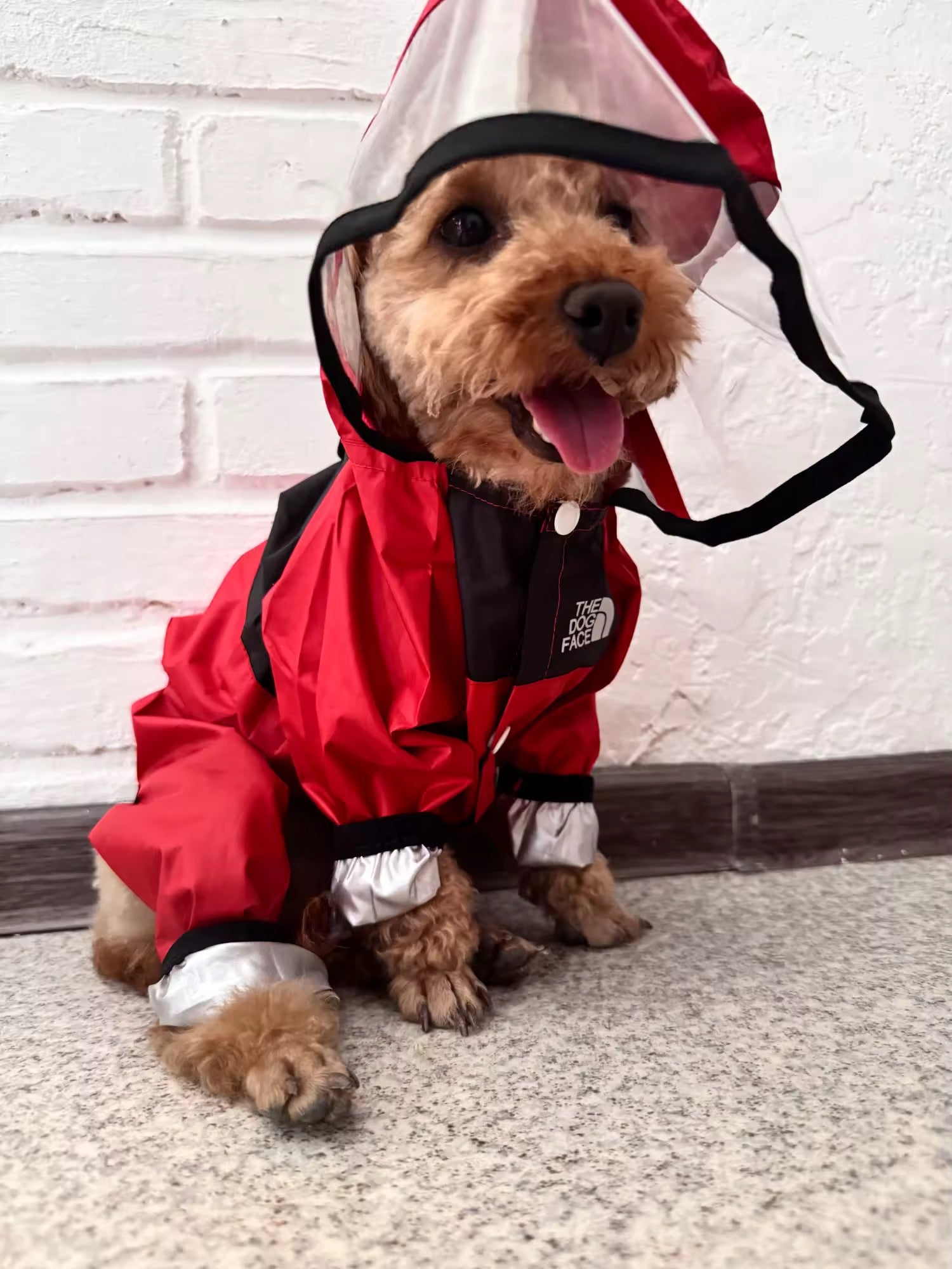 Fashion Dog Raincoat with Transparent Hood