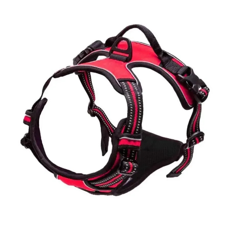 Collar Harness