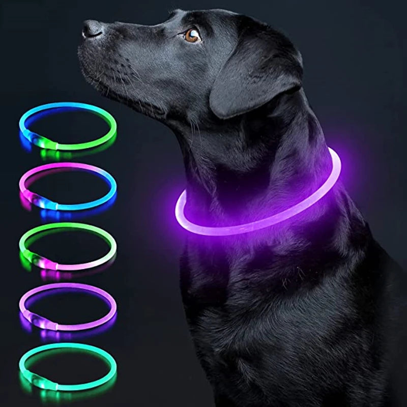 LED Dog Collar