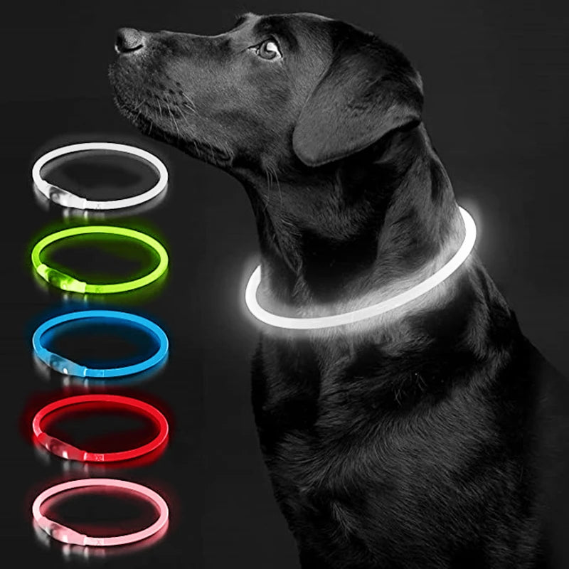 LED Dog Collar