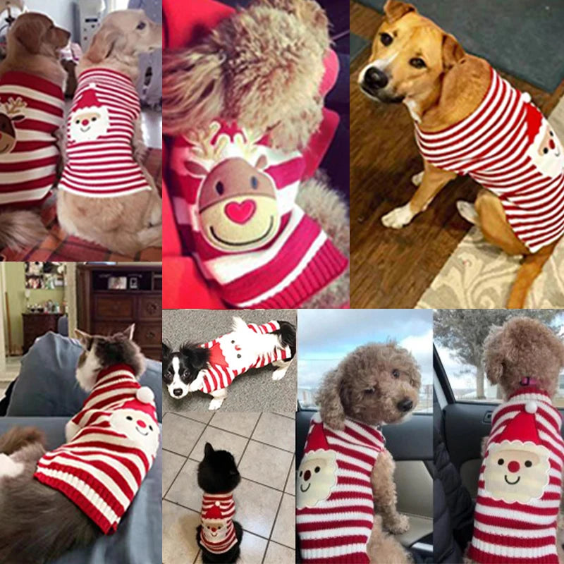 Christmas Dog Sweater (Small, Medium Breeds)