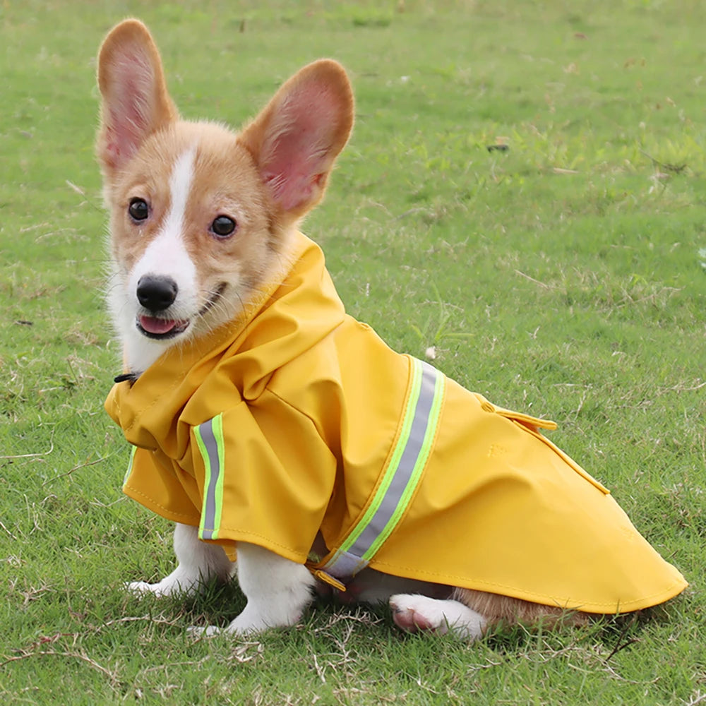 Large Dog Raincoat