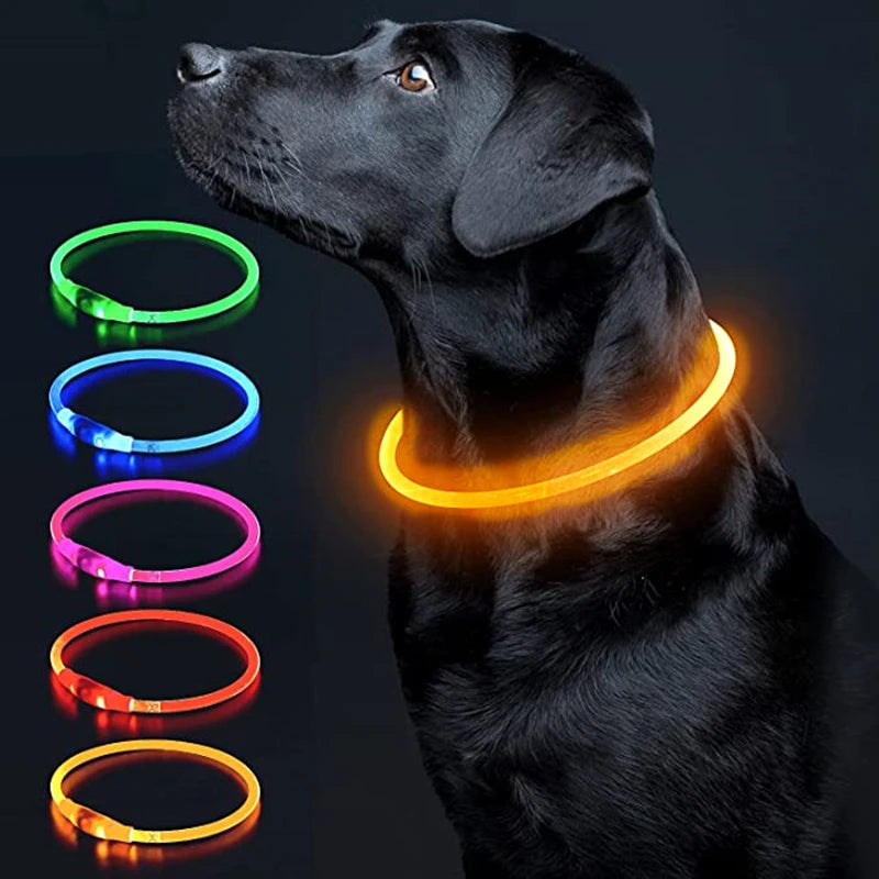 LED Dog Collar