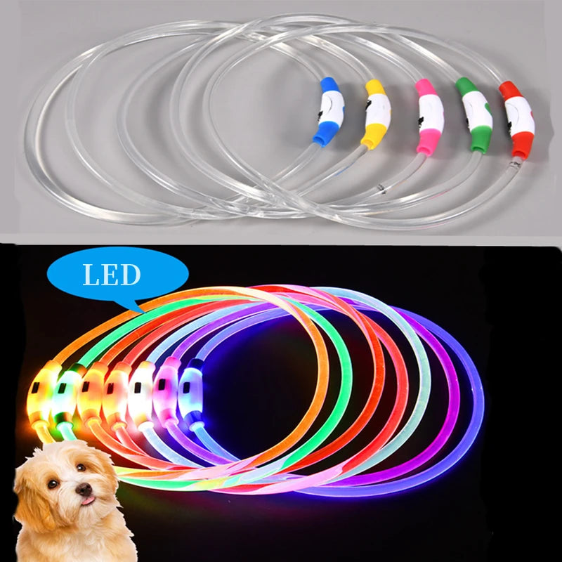 LED Dog Collar