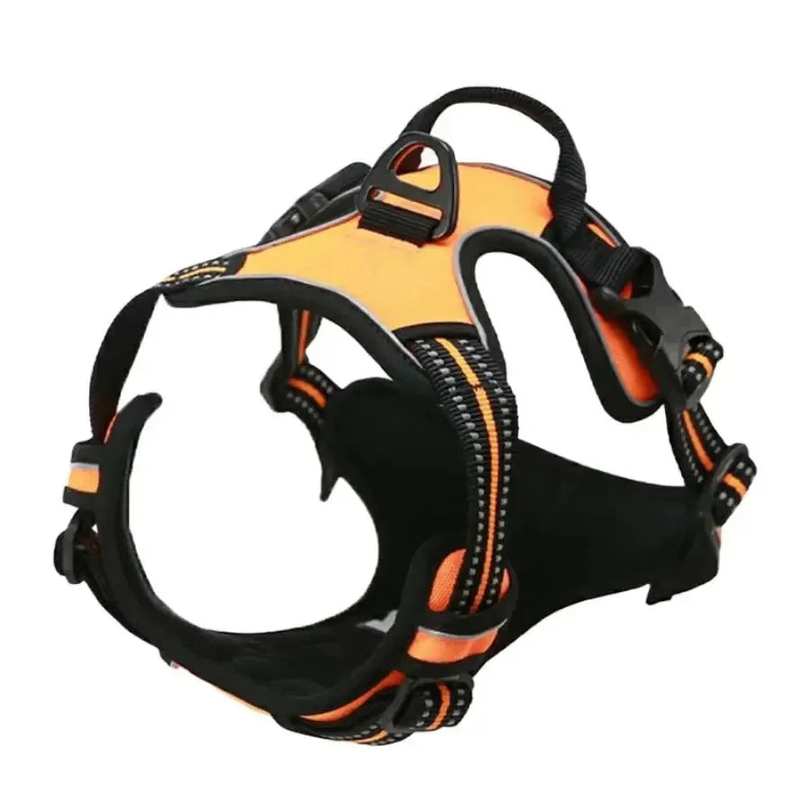 Collar Harness