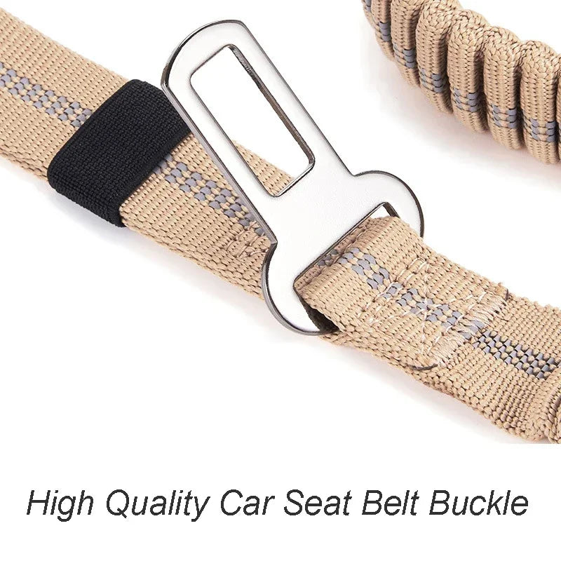 Tactic Stretch Dog Leash