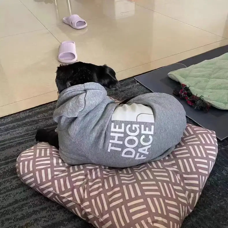 Dog Hoodie