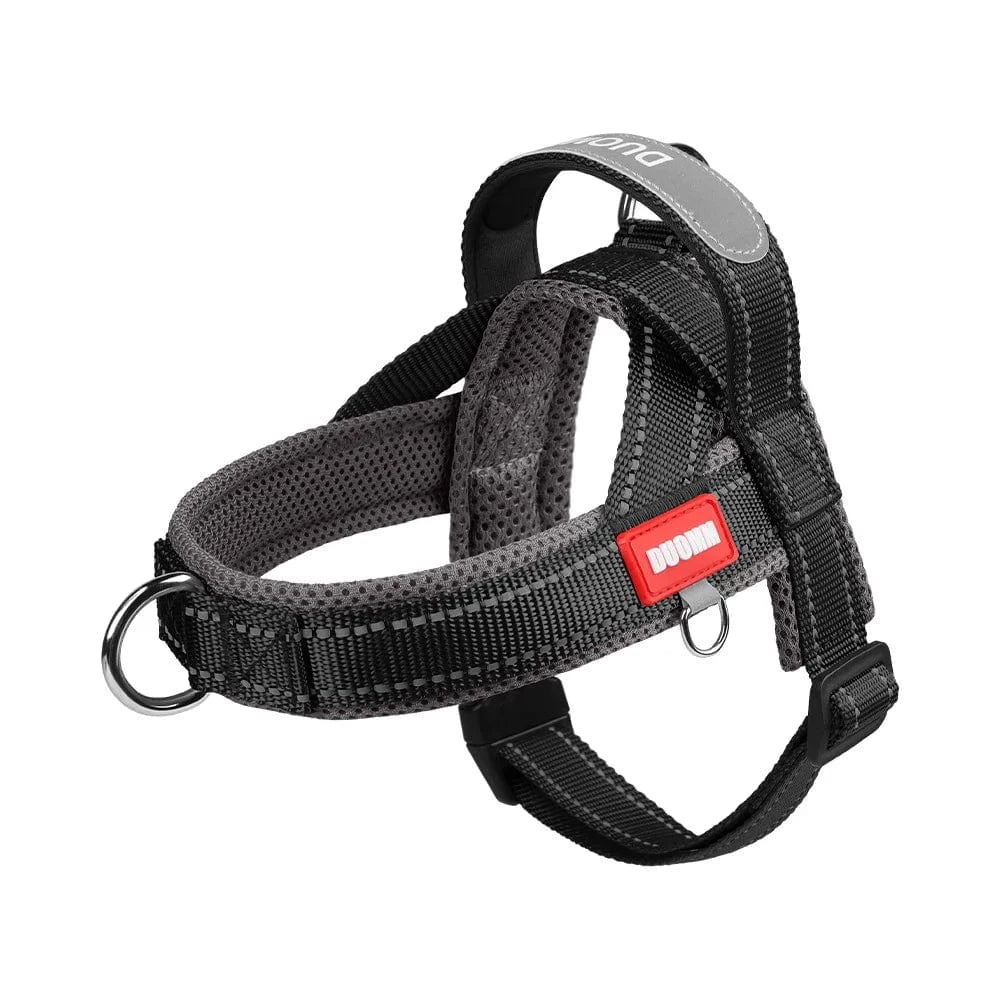 Vibrant & Stylish Harness - Furry Tail Finds