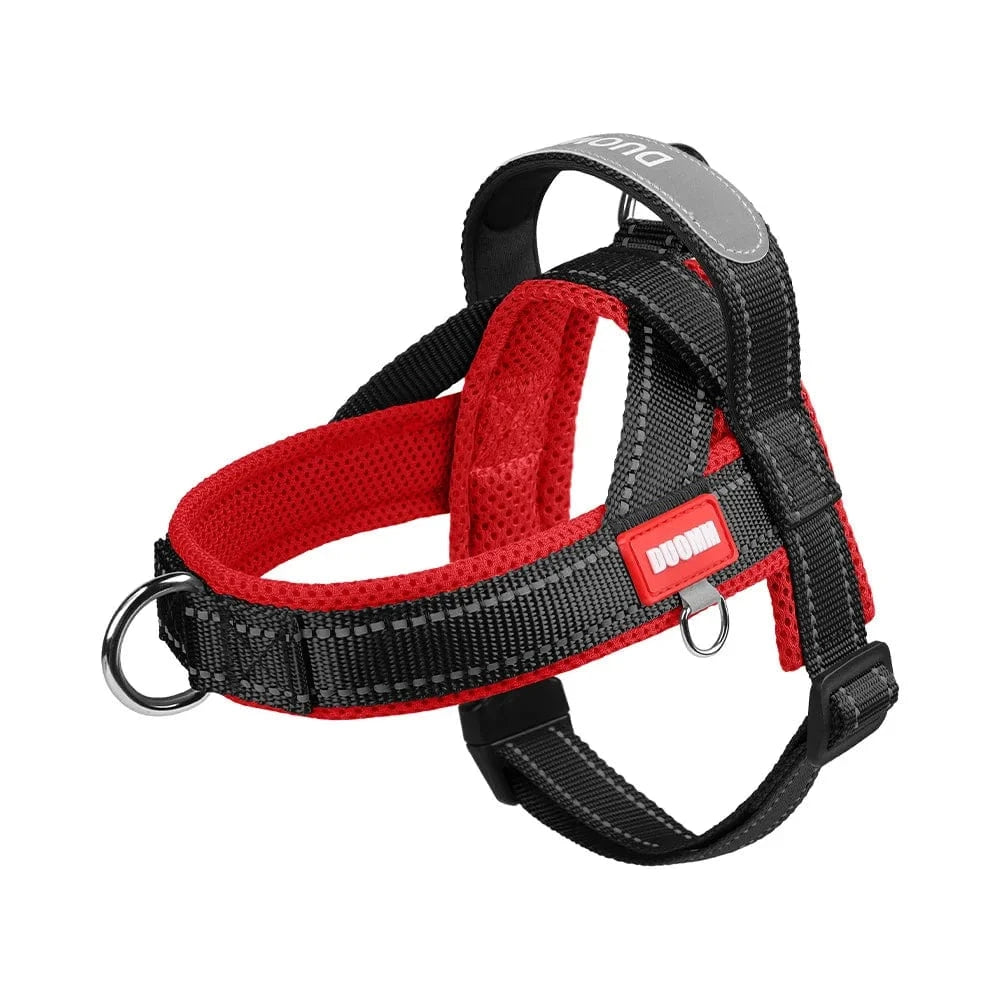 Vibrant & Stylish Harness - Furry Tail Finds